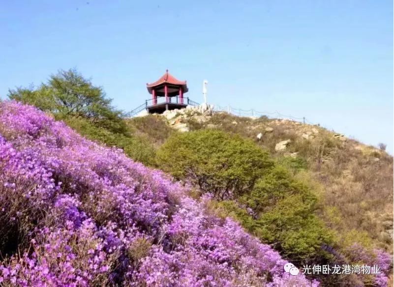 2003网站太阳集团-首页(接待您!)
