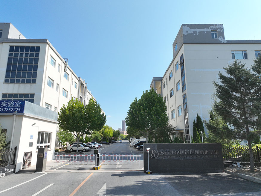 大连2003网站太阳集团企业集团